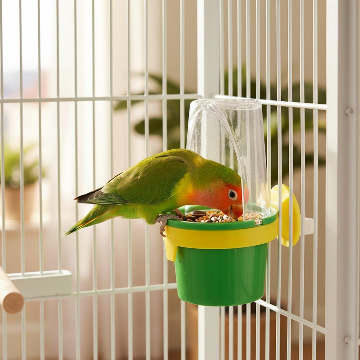 Pet Bird Cage Clean Cup Feeder & Water Cup Bird Accessory, Medium (Assorted Colors)