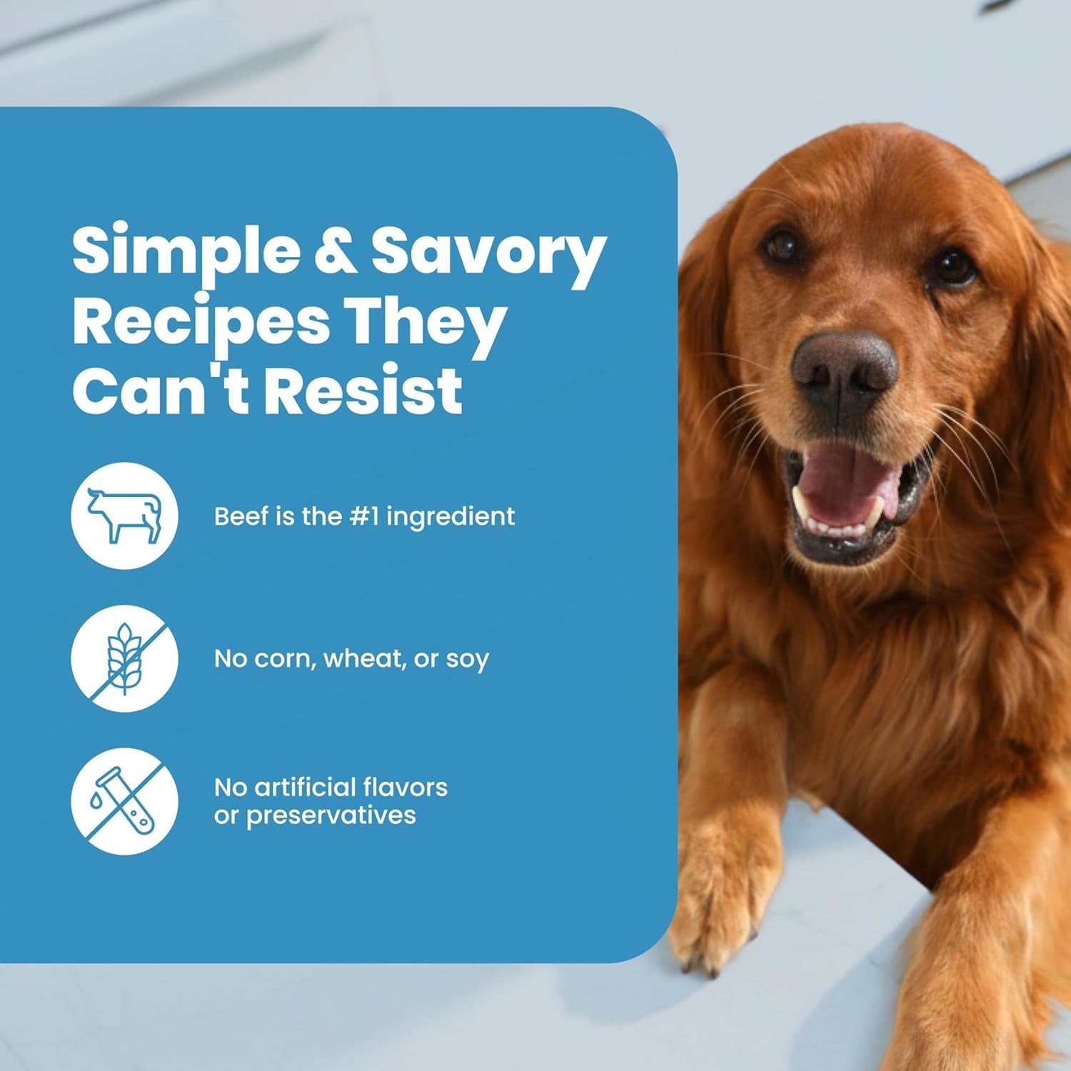 Nudges Beef Grillers Natural Dog Treats, Tender & Meaty Dog Snacks, Easy-To-Tear for Training, Made in the USA with Real Beef, No Artificial Preservatives, 16 Oz.