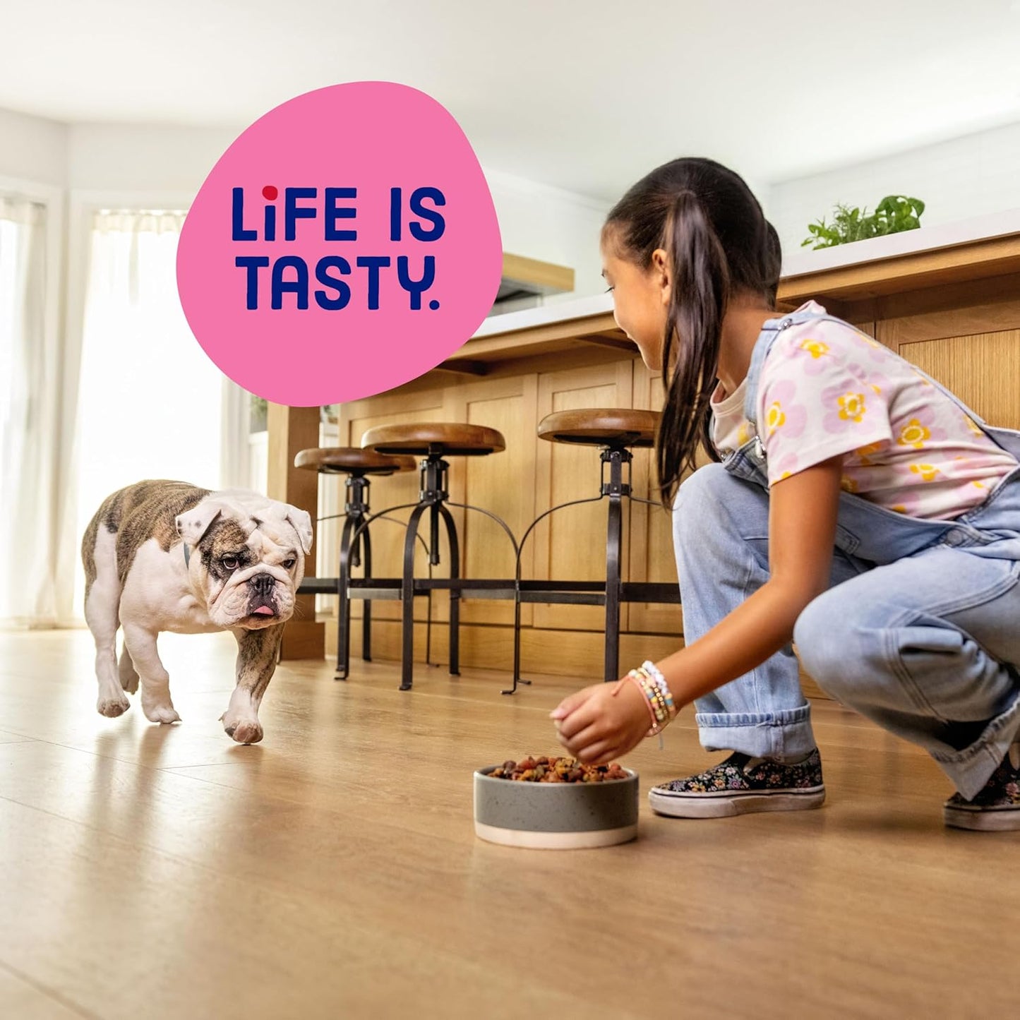 Mini Bits Small Breed Dry Dog Food, Savory Bacon & Steak Flavor for Adult Dogs, 3.5 Lb. Bag