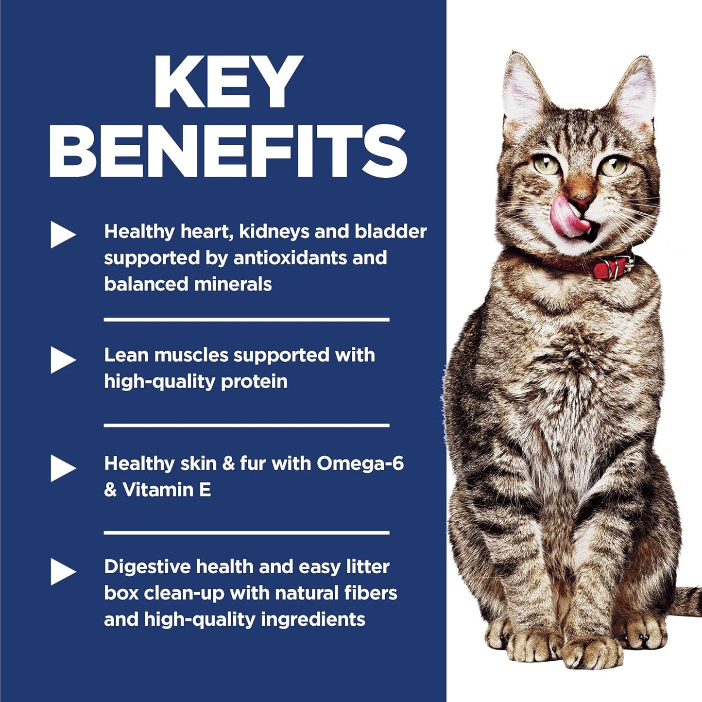 Hill'S Science Diet Dry Cat Food, Adult 7+ for Senior Cats, Indoor, Chicken Recipe, 15.5 Lb. Bag