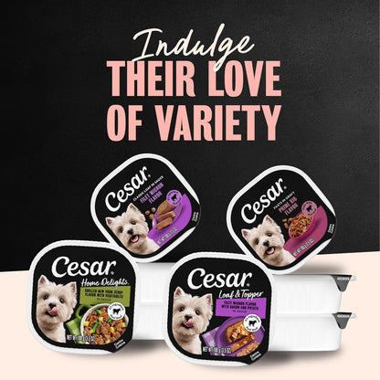 Adult Wet Dog Food Steak Lovers Variety Pack with Real Meat, 3.5 Oz. Easy Peel Trays, 36 Count (Pack of 1)