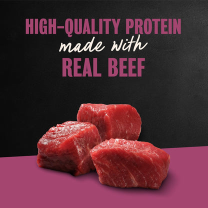 Adult Wet Dog Food Steak Lovers Variety Pack with Real Meat, 3.5 Oz. Easy Peel Trays, 36 Count (Pack of 1)